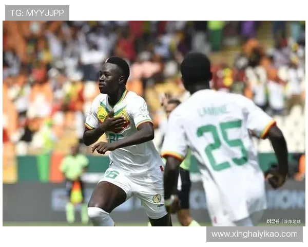 刚果足球明星盘点：那些在国际赛场上闪耀的球员与他们的辉煌成就