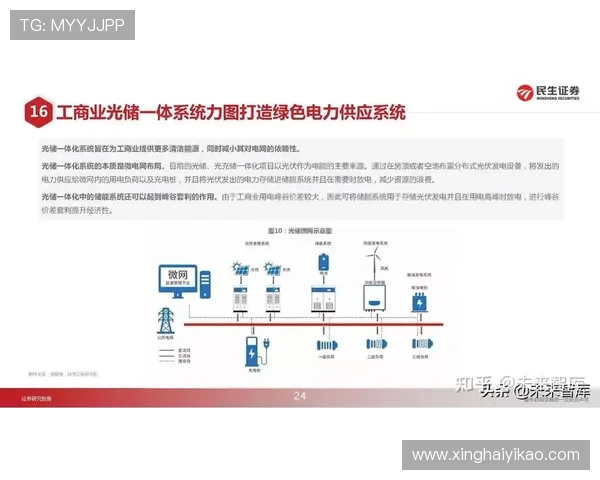 北京篮球队灵活性分析:战术变换与球员适应能力的深度探讨 北京篮球队灵活性分析:战术变换与球员适应能力的深度探讨