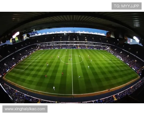 探索足球明星的辉煌成就与传奇故事带你走进绿茵场的精彩世界