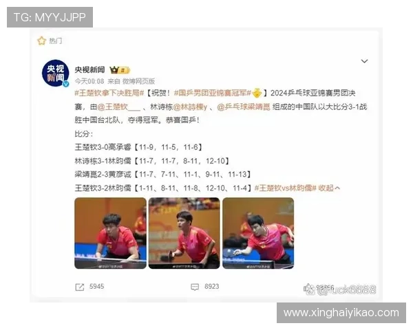 南京乒乓球队的拼搏历程与冠军赛背后的感人故事