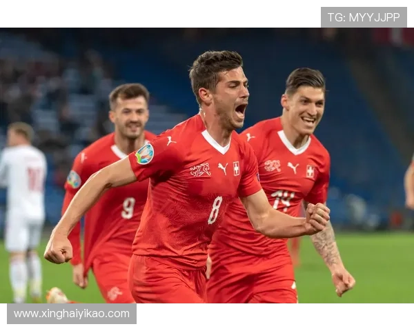 丹麦足球明星9号的传奇之路与辉煌成就揭秘